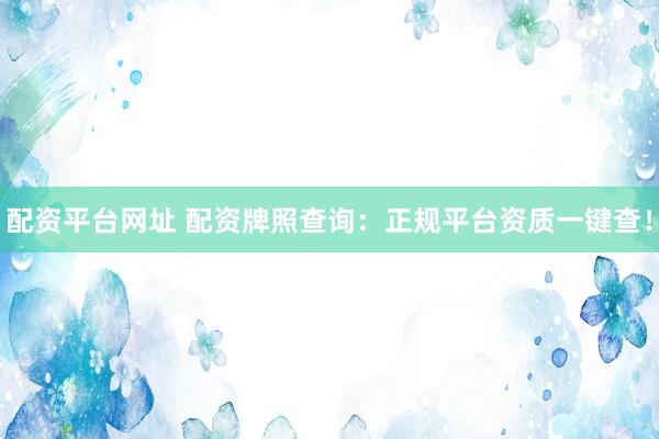 配资平台网址 配资牌照查询：正规平台资质一键查！