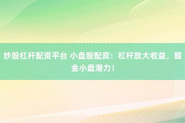 炒股杠杆配资平台 小盘股配资：杠杆放大收益，掘金小盘潜力！