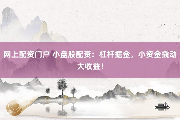 网上配资门户 小盘股配资：杠杆掘金，小资金撬动大收益！