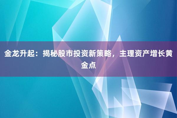 金龙升起:揭秘股市投资新策略,主理资产增长黄金点