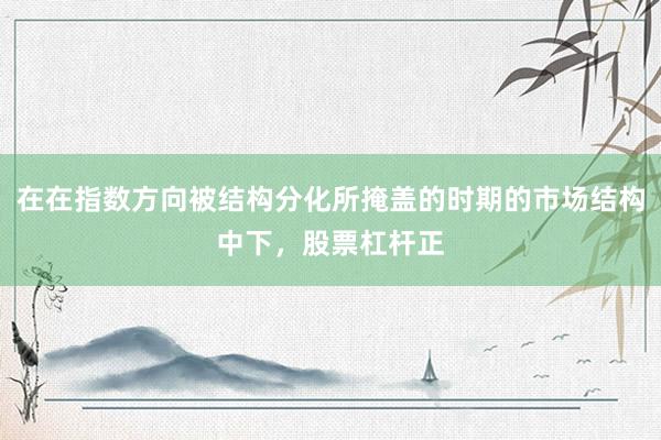 在在指数方向被结构分化所掩盖的时期的市场结构中下，股票杠杆正