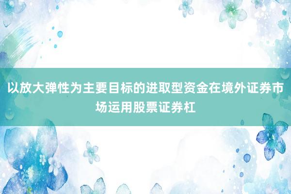 以放大弹性为主要目标的进取型资金在境外证券市场运用股票证券杠