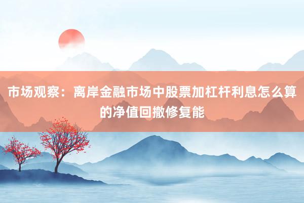 市场观察：离岸金融市场中股票加杠杆利息怎么算的净值回撤修复能