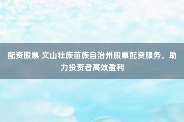 配资股票 文山壮族苗族自治州股票配资服务，助力投资者高效盈利