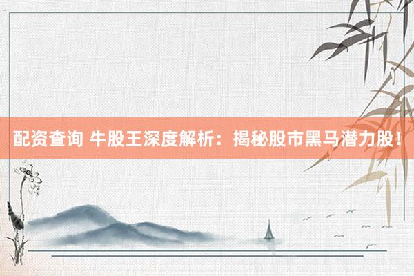 配资查询 牛股王深度解析：揭秘股市黑马潜力股！